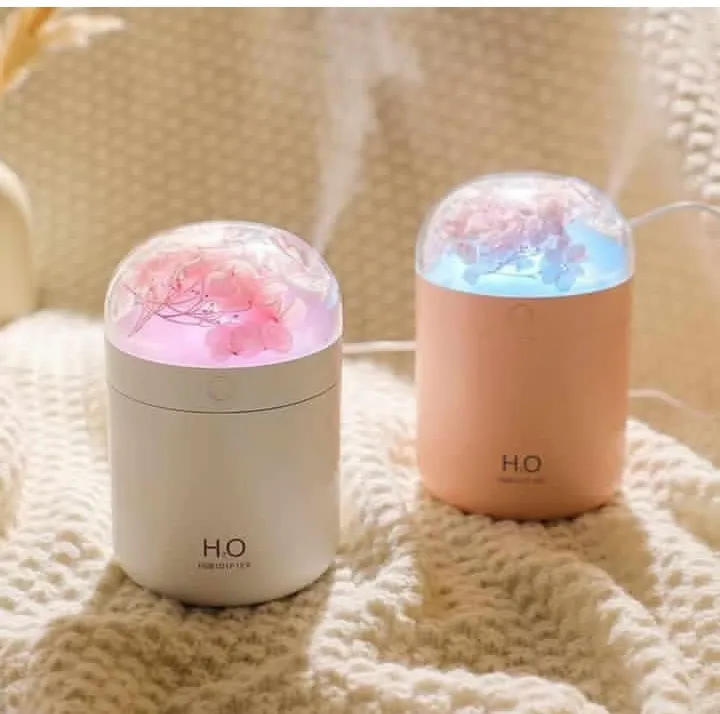 Eternal flower Humidifier